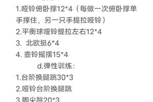 如何利用智能健身设备改善篮球运动员的耐力:专业策略与实践经验